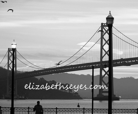 The Bay Bridge, San Francisco