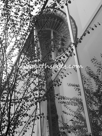Space Needle reflection