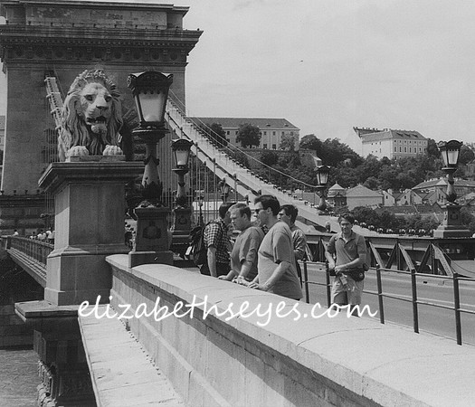 The Chain Bridge, Budapest