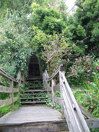 Filbert Steps