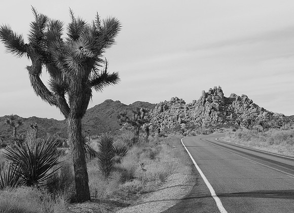The Road and the Sky