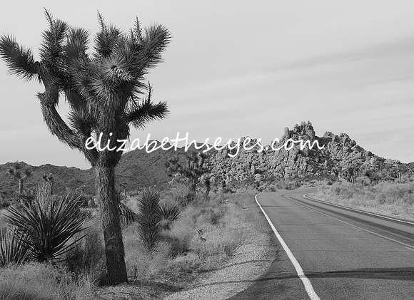 Magic; the road and the sky
